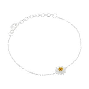 Brac904