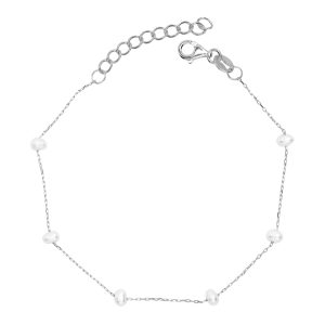 Brac1220 silver