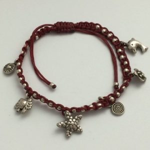 Brac556