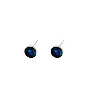 JA10172 paua