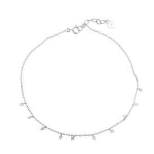 Ank83 silver