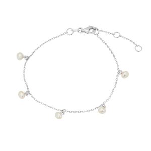 Brac1341 silver