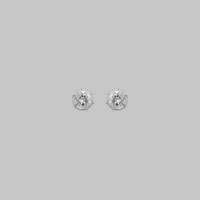 Stud Earrings