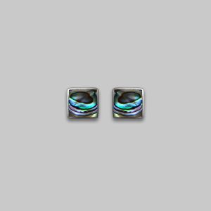 JA10030 paua