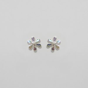JA10070 paua