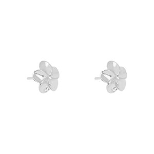 JA12037 silver