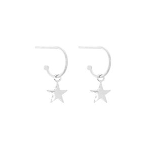 JA12096 silver